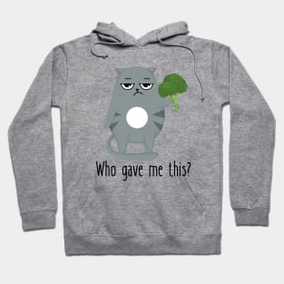 Serious Cat Hates Broccoli Funny Hoodie